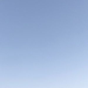 Meet your Posher, Gloria